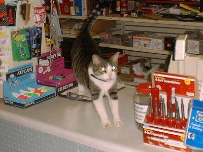 henk3.jpg (29789 bytes)